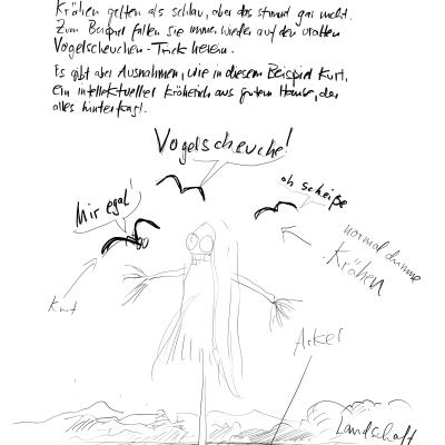 Kay’s Tierleben: Die Krähen