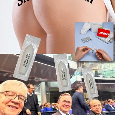 Die Linke 2025