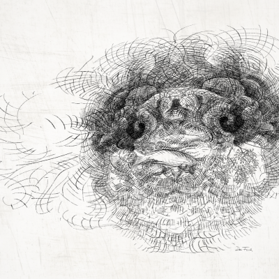 Der Fisch